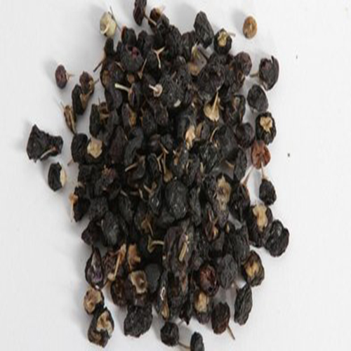 frutto wolfberry nero black wolfberry fruit