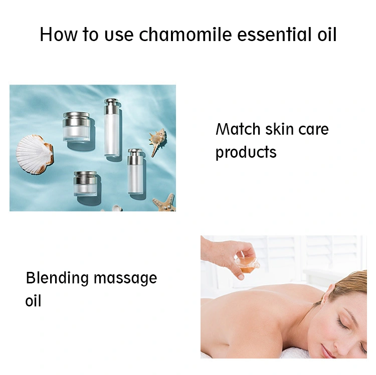 High Quality 100% Pure Peppermint Chamomile Blended Essential Massage Oil Anti-Anxiety Body Massage Oil