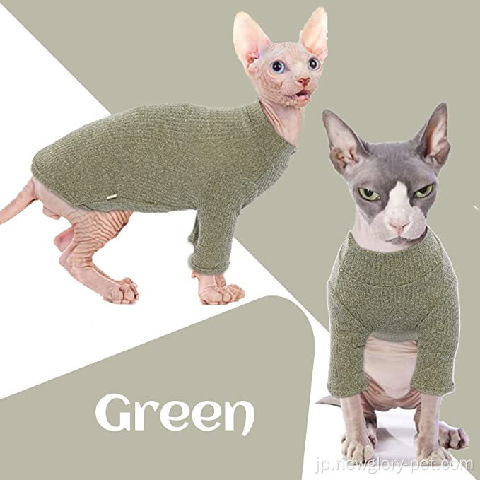 毛のない猫はタートルネックのセーターをベストします