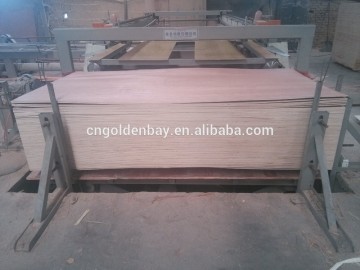 furniture plywood/packing plywood/construction plywood