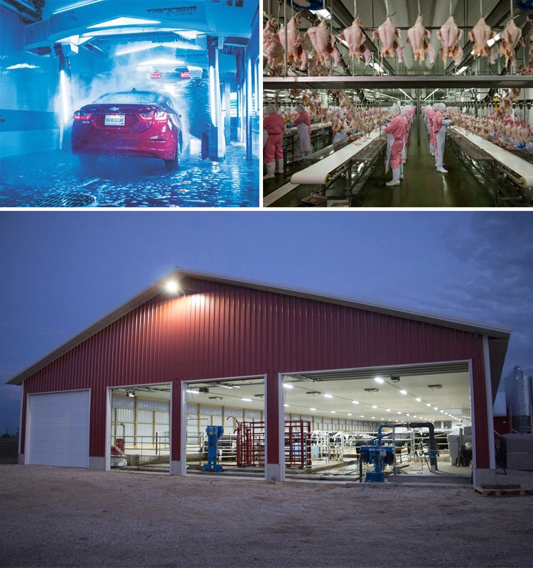 LED Tri-Proof Light for Car Washing, Poultry Lighting, Farming Lighting, Food Processing