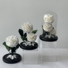Single Rose Eternal Preserved Rose with Stem in Glass Dome - Eternal Love Rose for Valentine's Day