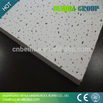 suspended ceilings tiles for hall ceilings