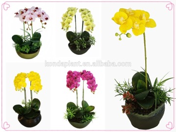 Konda artificial butterfly orchid bonsai for sale