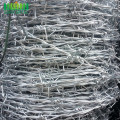 Harga 50 kg Galvanized Wire Wire Per Roll