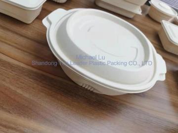 Modified Corn Starch Based Biodegradable PLA Sheet