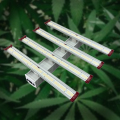 Greenhouse 600watts LED Grow Light 4 Strip