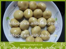 Good and tasty Mushroom in Can