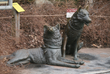 large outdoor statues metal craft bronze wolf garden statues