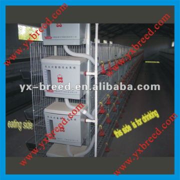 Breeding Chicken Cage for Meat Type