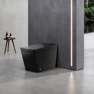 Auto Flush One Piece Intelligent Bidet Toilet