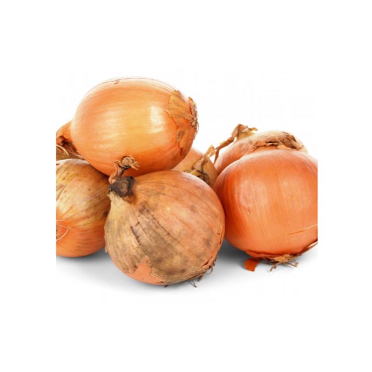 Fresh agricultural products onion yellow exporter