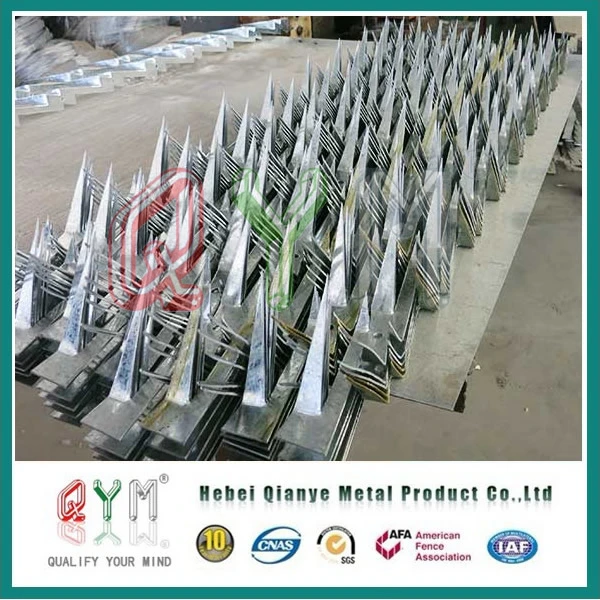 Hot Dipped Galvanized Security Spikes/ Trident Wall Spikes