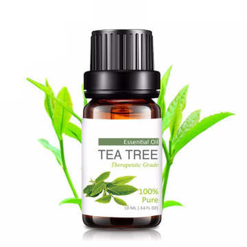 100% puro de té de té mejor aceite esencial de grado terapéutico a precio