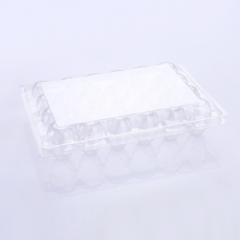 Transparent Cartons Plastic Blister Box For Quail Egg