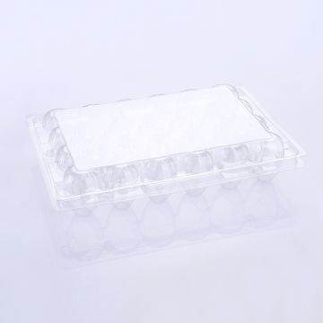Przezroczyste kartony Plastikowe pudełko blistrowe na jajko przepiórcze