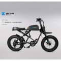 Smart Electric Bike For Adult