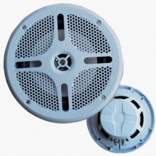 Marine Speaker?