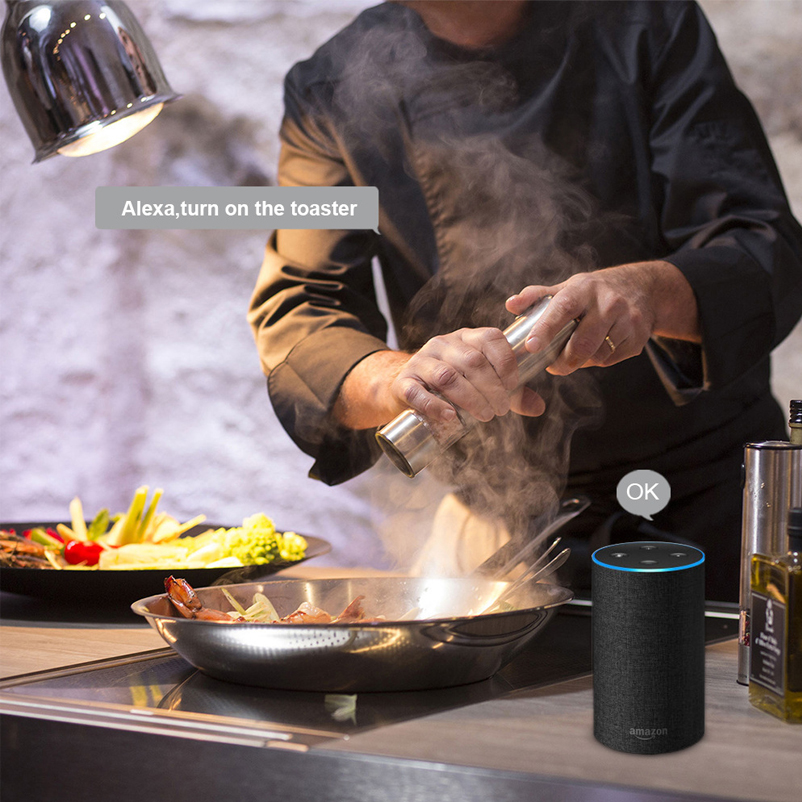 Alexa Google Home Assistant Europe Energy Meter Smart Wifi Socket EU Plug Smart Plug Wifi EU Smart Plug With Power Monitor