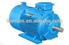 Y2 series induction motor