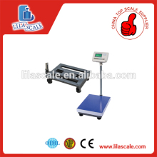 EA Series high quality 40*50 100kg small bench scale