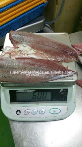 Frozen Yellow tail scad fillet fish fillet