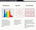 COB Grow Led Lighting La migliore vendita