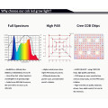 COB Grow Led Lightingベストセラー