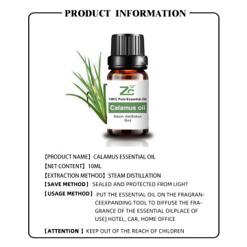 Calamus Essential Oil With High Quality