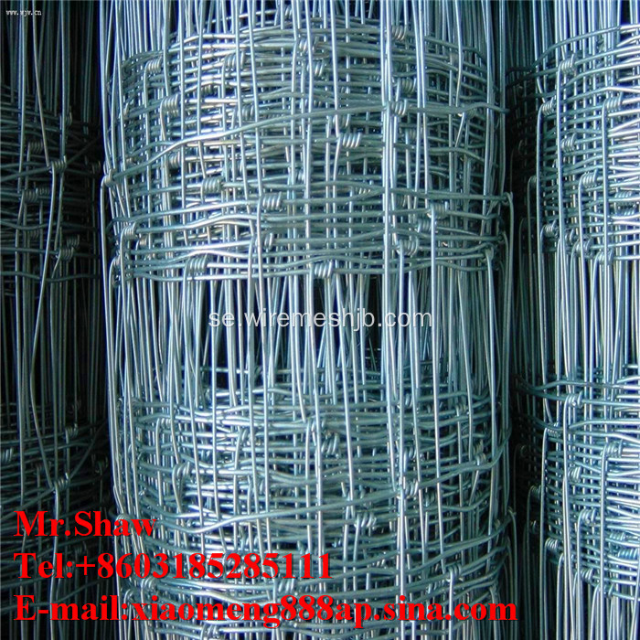 Low Carbon Steel Weave Wire Kraal Network Fence