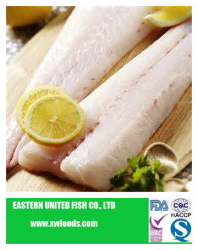 pacific hake fish