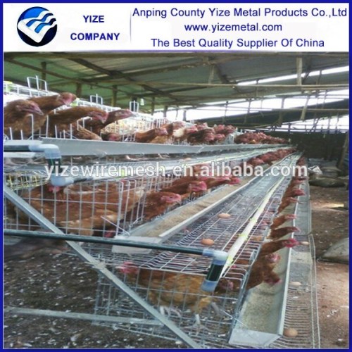 Trade Assurance automatic drinking system a type layer poultry cages for kenya farms