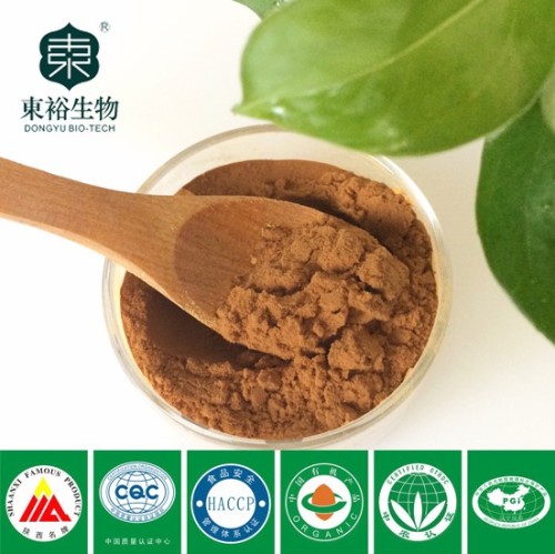 Green tea extract used to green tea capsules for weight loss with best quality and price