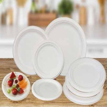 Disposable Bagasse Cake Plate Sugarcane Paper Plates
