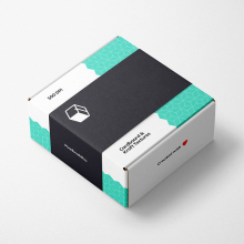 Recyclable Corrugated Shipping Boxes with Custom Logo Mailing Paper Boxes for Packaging