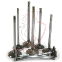 MG and Roewe Auto Parts: Intake Exhaust Valves & Valve Tappets