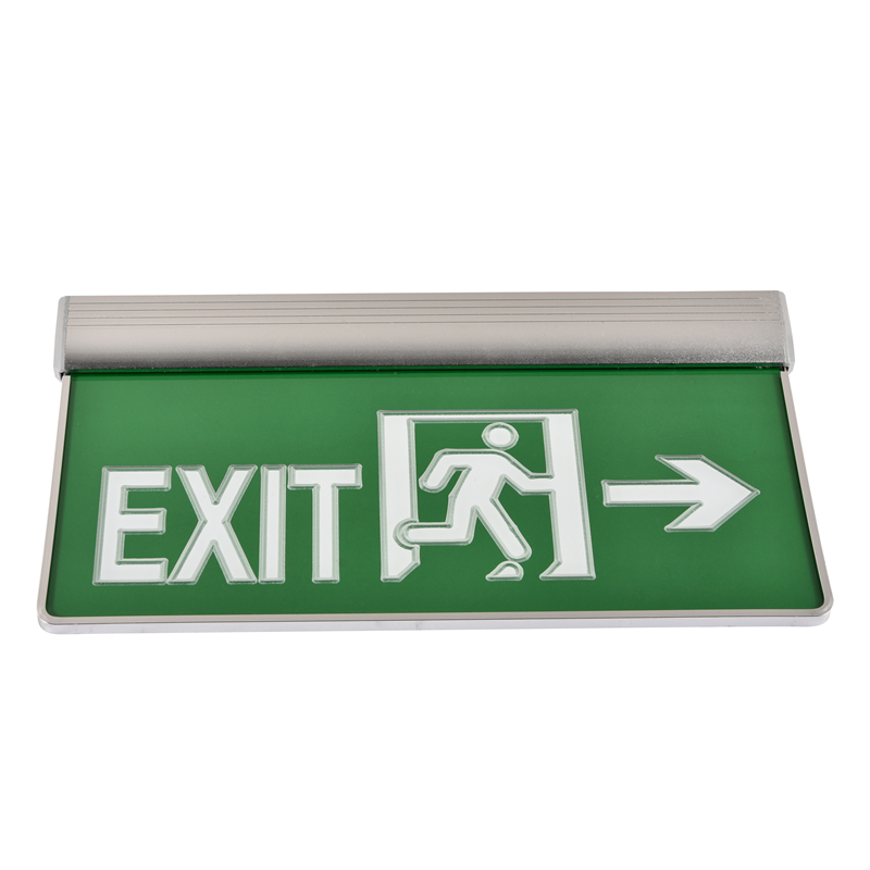 emergency exit sign light (14)