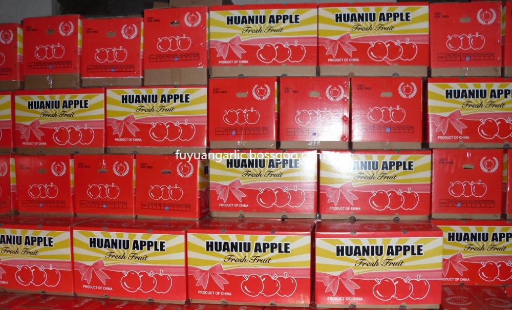 2020 Huaniu Fresh Apple