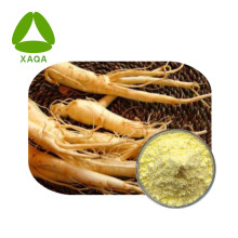Ginseng Leaf Extract Ginsenosides 80% Powder CAS 90045-38-8