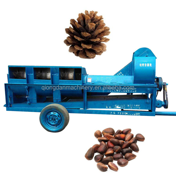 Fully automatic pine nut cracker pine cone separating machine Mongolia pinoli sheller pine nut processing equipment on sale