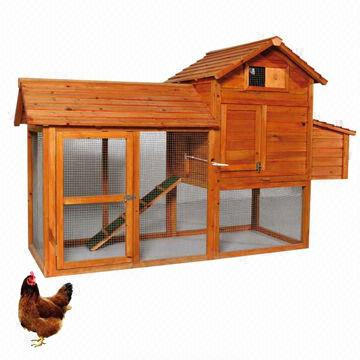 Kandang Ayam Dengan Ruang Super Lager Bossgoo Com