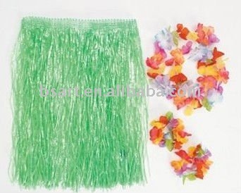 Hawaii Costume for hula dance