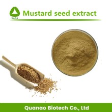 Polvo de extracto de semillas de mostaza blanco 10: 1