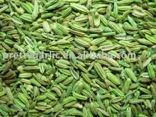 Fennel Seeds