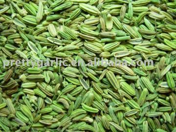 Fennel Seeds