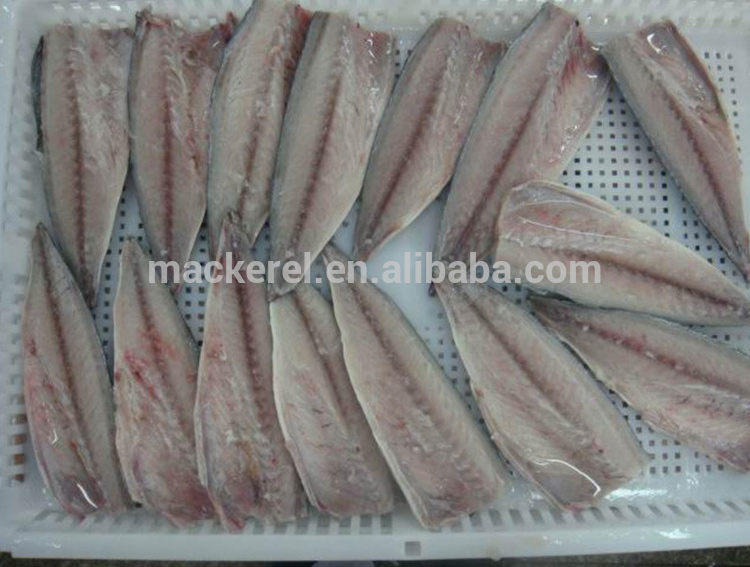 Nuova stagione Frage Pacific Mackerel Fillet Fish