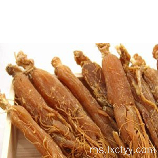 harga ginseng merah korea