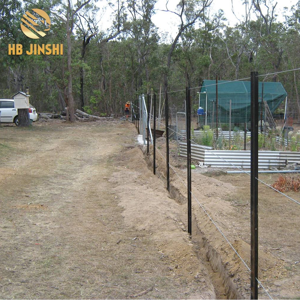 Black Painted Y Fence Post / Metal Fence Posts for Australia, New Zealand