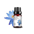 cosmetic grade top quality blue lotus oil massage for aroma