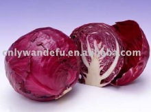 red cabbage flakes